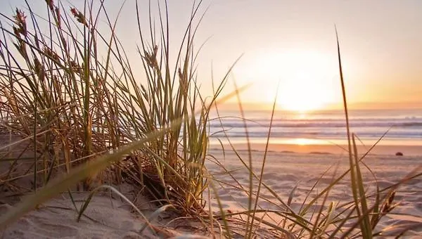 House Duinparel - 2 Km From The Tatil Evi Noordwijkerhout