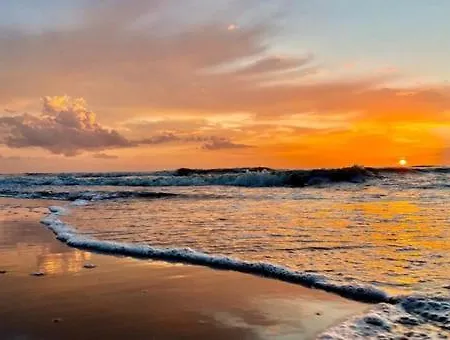 House Duinparel - 2 Km From The 度假居 *