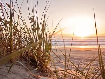 House Duinparel - 2 Km From The 度假居 诺德克豪特