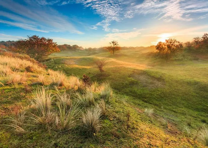 House Duinparel - 2 Km From The Noordwijkerhout